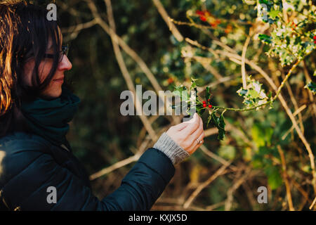 Girl holding an Irish female holly branch with spiny leaves and red berries Stock Photo