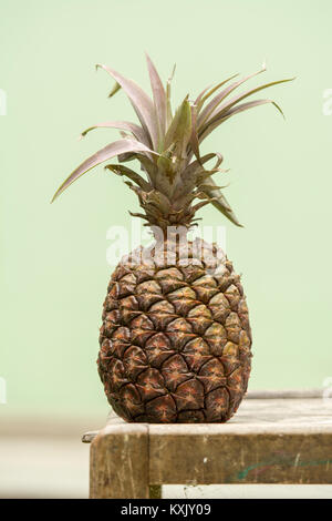 Whole Pineapple standing upright Stock Photo
