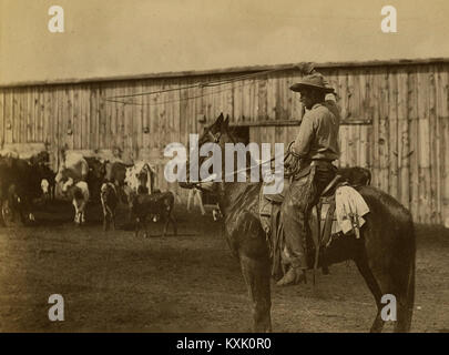 William Henry Jackson 'In The Corral. The Lariat' Stock Photo