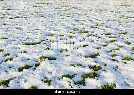 Melting snow with green grass patches poking through, Gloucestershire, England, United Kingdom, Europe Stock Photo