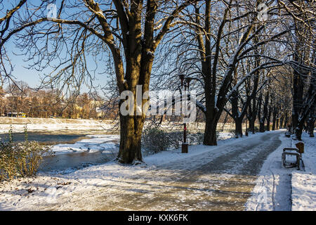 Snowy Kiev embankment in Uzhgorod. beautiful and sunny winter day. walk on fresh air along the chestnut tree alley Stock Photo