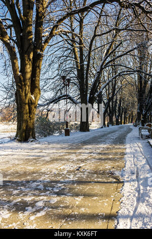 Snowy Kiev embankment in Uzhgorod. beautiful and sunny winter day. walk on fresh air along the chestnut tree alley Stock Photo