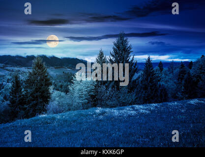 lovely countryside with grassy hills at night in full moon light. beautiful nature of Carpathian mountains in springtime Stock Photo