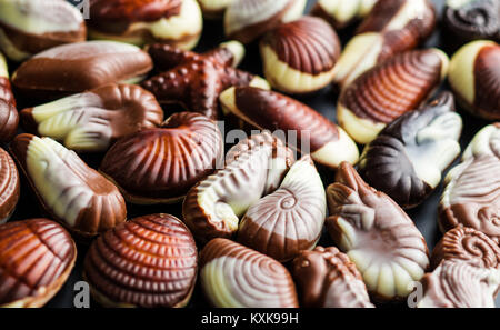 Sweet chocolate seashells. Chocolate truffles. Stock Photo