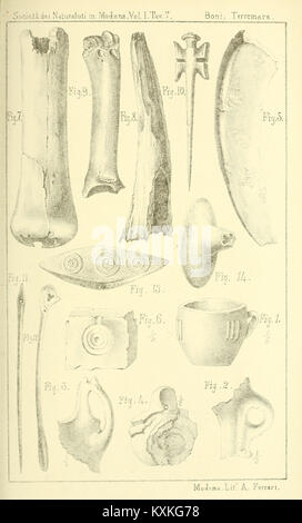 Atti della Società dei naturalisti e matematici di Modena BHL33697766 Stock Photo