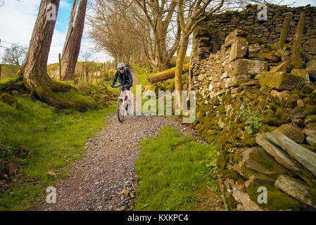 Female mountain biker on trail near Askham in the English Lake District Stock Photo
