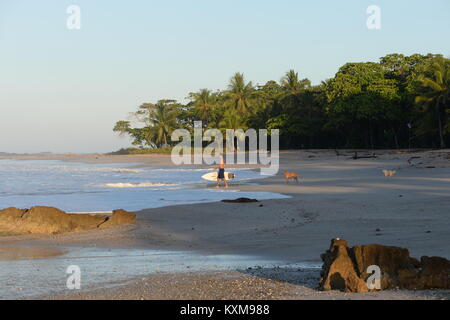 Surfing in Costa Rica on a palm fringed west coast beach Stock Photo