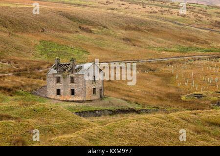 Derelict building near Grove Rake Mine buildings, Rookhope District, Weardale, North Pennines, County Durham, England, United Kingdom. Tree planting.