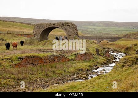 Derelict surviving arch of the lead smelt mill flue viaduct near Grove Rake Mine buildings, Rookhope District, Weardale, North Pennines, County Durham