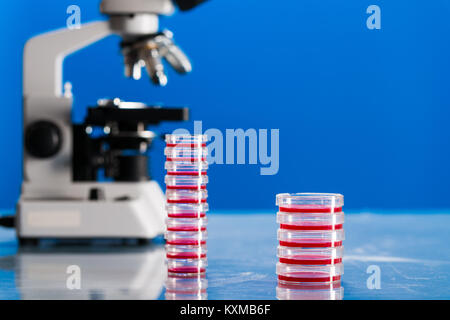 Identification of pathogenic microbes and viruses Stock Photo