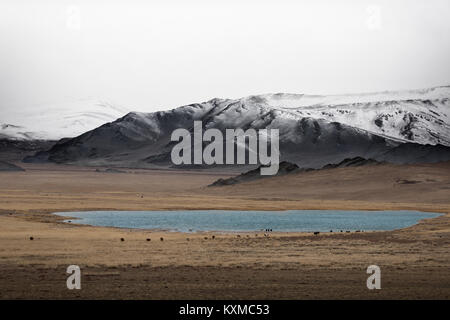 Mongolia winter lake snowy mountains cloudy cattle cows grazing grasslands steppes foggy Mongolian Stock Photo