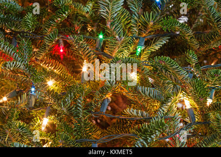 detail of Christmas tree with lights Stock Photo