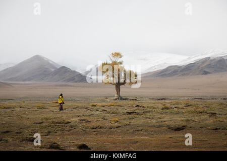 Lonely tree fall yellow leafs cloudy foggy winter snowy mountains Mongolia steppes grasslands Stock Photo