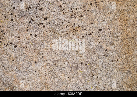 natural granite rock background texture with lichen Stock Photo