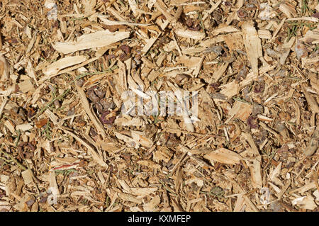 organic mulch background with wood chips bark and leaves Stock Photo