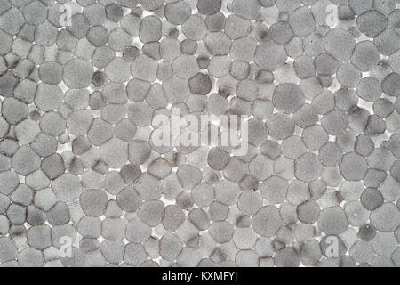 backlit expanded polystyrene foam background texture macro image Stock Photo