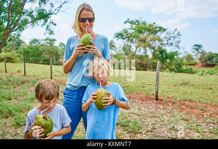 Family drinking through straws from coconut,Bonito,Mato Grosso do Sul,Brazil,South America Stock Photo
