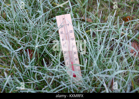 Thermometer is in the green grass covered with hoarfrost and shows subzero temperature Stock Photo