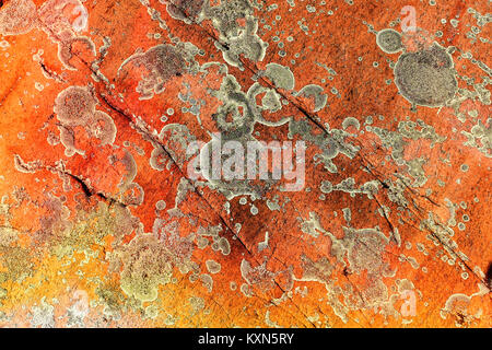 One of the many interesting patterns on the georgian bay rocks Stock Photo