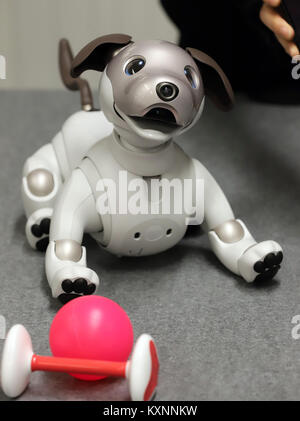 Tokyo, Japan. 11th Jan, 2018. Japanese electronics giant Sony displays the new robot dog 'Aibo ERS-1000' after Aibo's launching ceremony at Sony headquarters in Tokyo on Thursday, January 11, 2018. Cloud based artificial intelligence (AI) enables the robot dog to react when spoken to and learn new behavior. Credit: Yoshio Tsunoda/AFLO/Alamy Live News Stock Photo