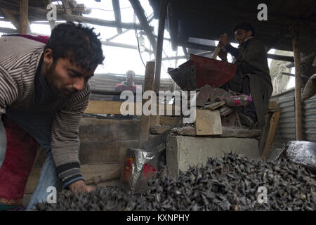 December 23, 2017 - Kolhom, Jammu and Kashmir, India - A Kashmiri man grinds water chestnuts to obtain flour at a mill on January 05, 2018 in Kolhom, north of Srinagar, the summer capital of Indian Administered Kashmir, India. Water chestnuts are a major crop for people living near Wular lake, Asia's second largest freshwater lake. Wular, looks more like a flat marshy plain than a large lake in winters, as the water level recedes entire families collect and extract the marble-sized fruit from its spiky casing . The sun-dried chestnuts are later sold in markets, particularly in summer ca Stock Photo