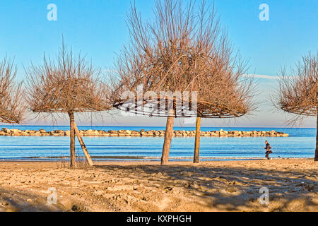 Beach with Tamarisk trees on the Adriatic coast of Emilia Romagna in Italy on a winter day Stock Photo
