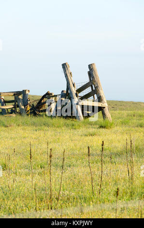 Derelict stock yard and loading ramp, Cooma, New South Wales, Australia Stock Photo