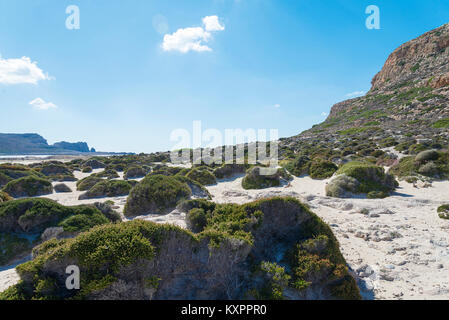 Hills with bushes on a Sunny day on the island of Crete. Stock Photo