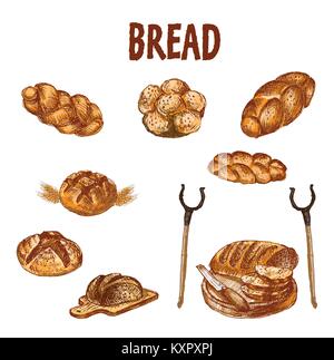 Digital color vector bundle set detailed line art golden loaf of rye bread, slices and wheat hand drawn illustration set. Thin artistic pencil outline Stock Vector