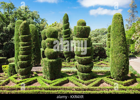 FUNCHAL, MADEIRA - JuLY 09: Botanical Gardens Madeira on July 09, 2014 in Madeira, Portugal. Stock Photo