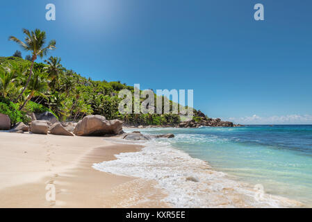 Palm trees on exotic tropical beach. Stock Photo