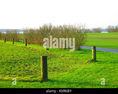 Fence posts and green grass by lane leading to Flensburg fjord in Southern Denmark Stock Photo