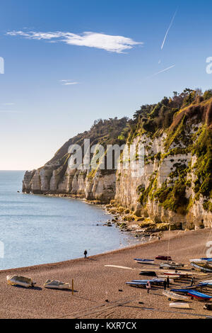 The chalk cliffs leading to Beer Head on the Jurassic Coast, Devon, England, UK Stock Photo