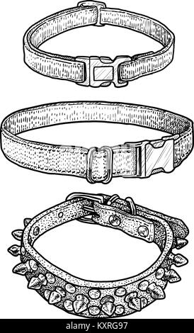 Dog, cat collar illustration, drawing, engraving, ink, line art,   vector Stock Vector