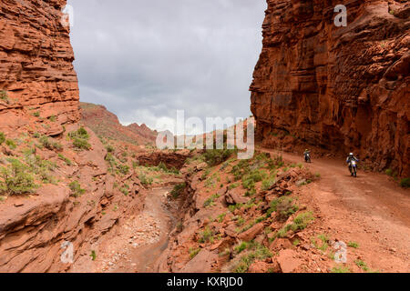 Dirt-bike Riding in Red Canyon - Bikers are enjoying their dirt-road ride in a steep canyon near Colorado River Scenic Byway. Moab, Utah, USA. Stock Photo