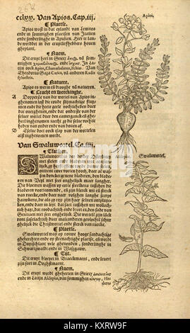 This antique manuscript page, likely from the 12th-13th century ...