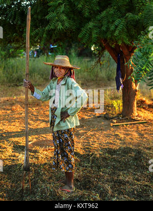 Farmer at work in Bagan, Myanmar Stock Photo