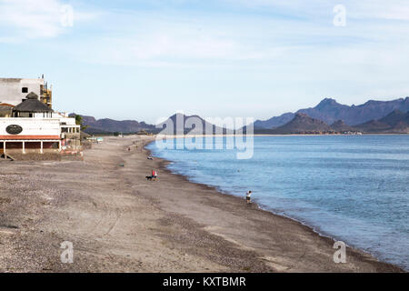 long expanse of Playa San Francisco in San Carlos Mexico with people  walking dogs or gathering shells all along the high water line into the distance Stock Photo