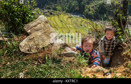 Little girl crying after climbing paddy field slopes in sapa, Vietnam Stock Photo