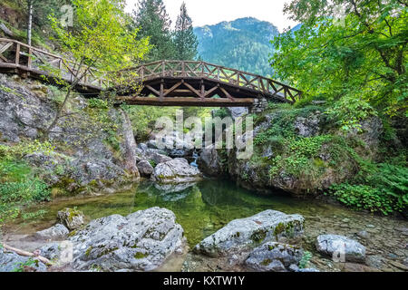 Wooden bridge over a river in the mountains of Olympus. Prionia, Greece Stock Photo