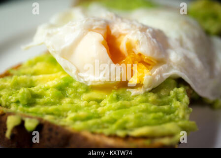 Poached egg and avocado mash on toast Stock Photo