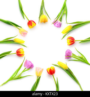 Creative arrangement of tulip flowers on white background with space for text. Top view. Stock Photo