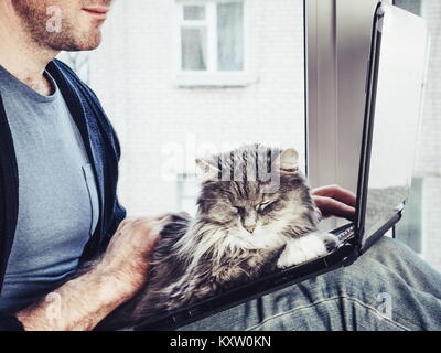 Young, handsome man, sitting on the windowsill, holds a beautiful, fluffy kitten on his lap and reads news on his computer Stock Photo