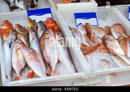 Fresh sea fish, Dorado, sea bass, perch on an ice plateau in the street fish shop. Mediterranean cuisine and seafood delicacies on island Crete, Rethy Stock Photo