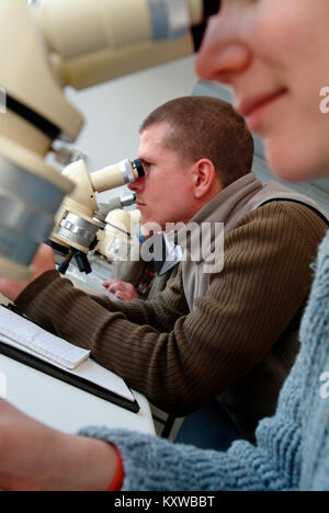 A group of university science students using microscopes Stock Photo