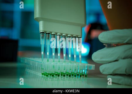 electrophoresis device in a genetics lab to decrypt the genetic code Stock Photo