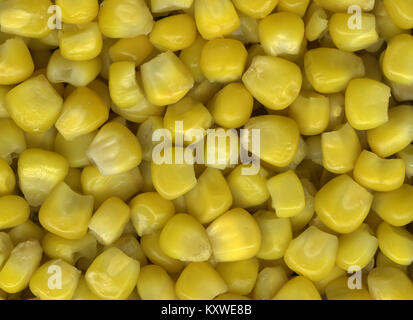 Yellow cut corn kernels close up Stock Photo