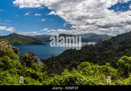 Marlborough Sound at Queen Charlotte drive, Marlborough, New Zealand Stock Photo