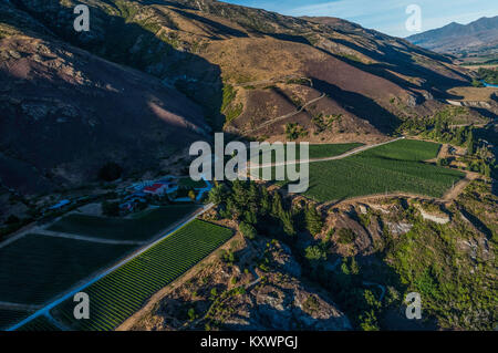 vineyards in the Kawarau River Valley, New Zealand Stock Photo