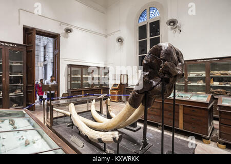 KOLKATA, INDIA - NOVEMBER 24, 2015: The Indian Museum interior. It is the largest and oldest museum in India. Stock Photo